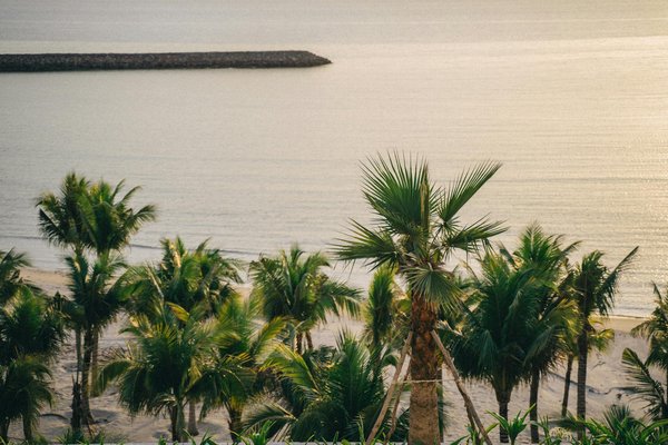Comment choisir une croisière qui propose des excursions pour visiter les temples antiques en Turquie ?